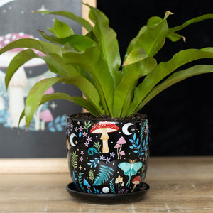 Dark Forest Plant Pot with Saucer