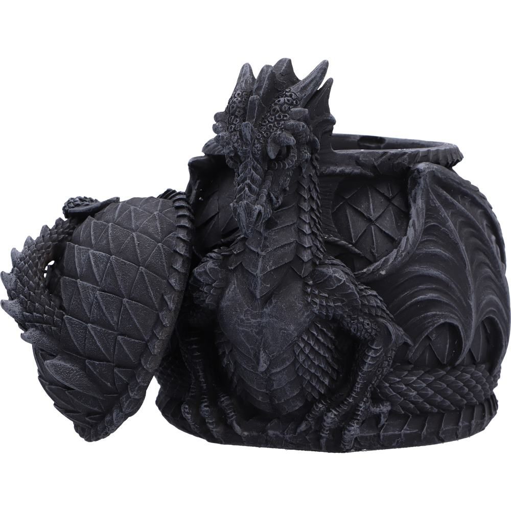 Open Darkwing Dragon Treasure Box