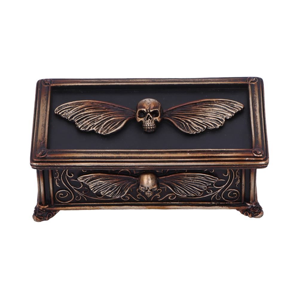 Death's Head skull and moth gothic trinket box
