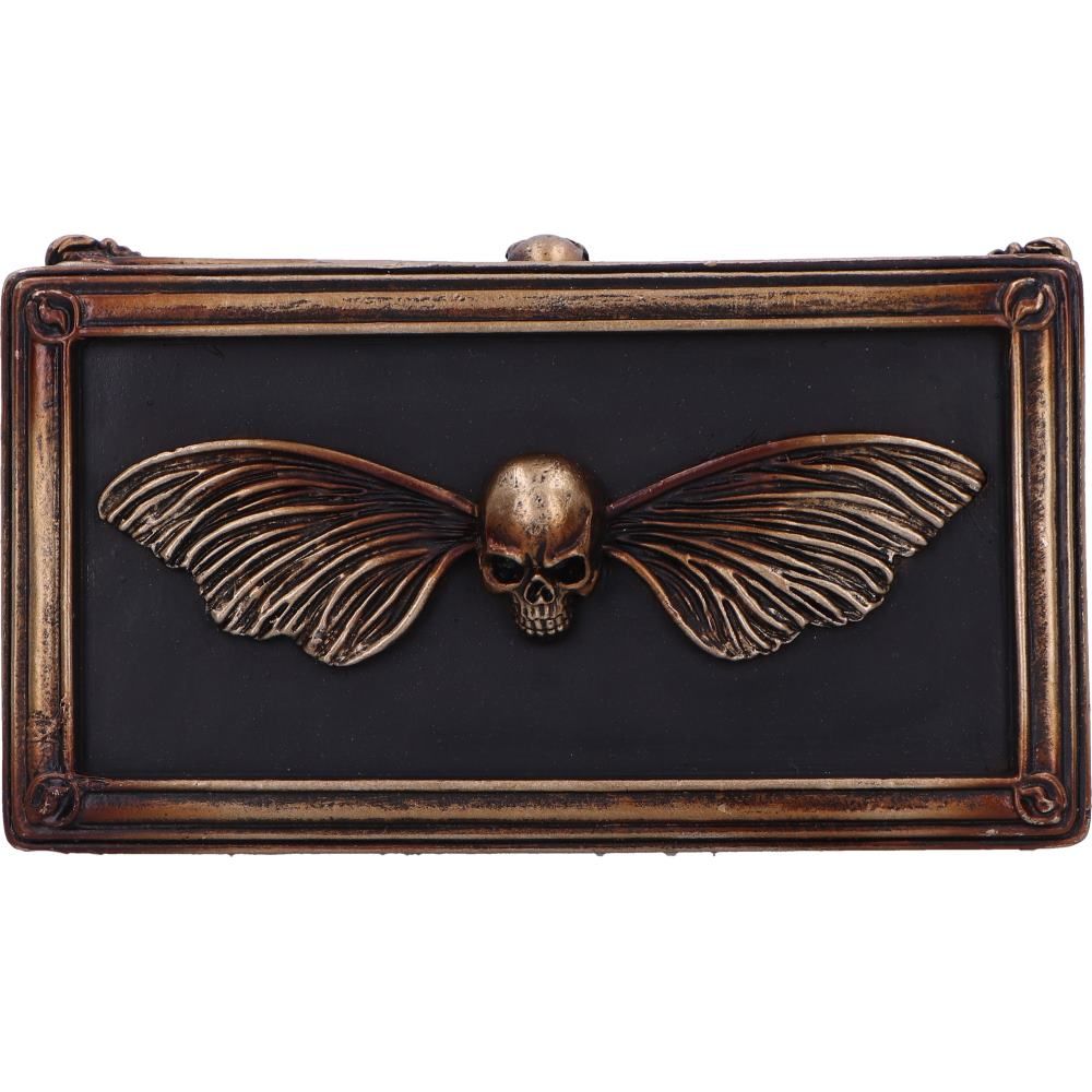 Skull and moth design on Death's Head trinket box
