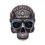 Destiny Palmistry Skull