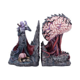 Dungeons and Dragons Illithid bookends featuring Mind Flayer and Elder Brain