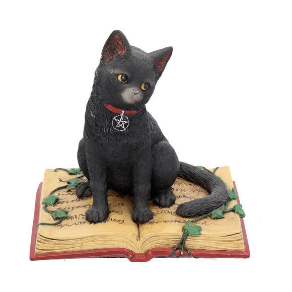 Eclipse Black Cat Spell Book Figurine