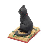 Eclipse Black Cat Spell Book Figurine