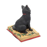Eclipse Black Cat Spell Book Figurine