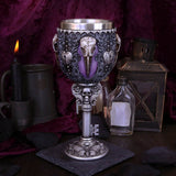 Edgar Allen Poe Nevermore Raven Goblet