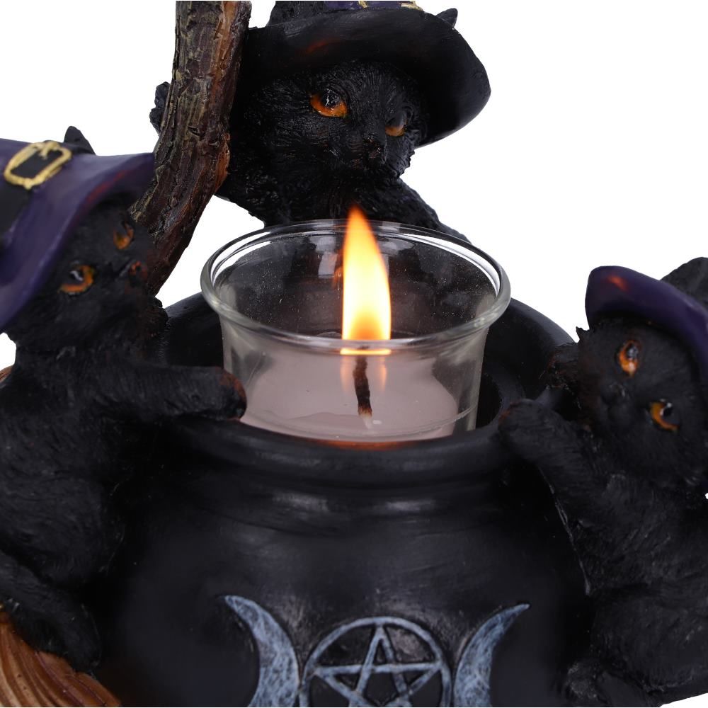 Close-up of witchy black cats with lit tealight candle