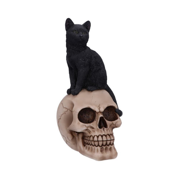 Familiar Fate Black Cat & Skull Figurine
