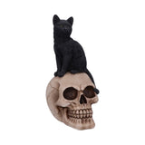 Familiar Fate Black Cat & Skull Figurine