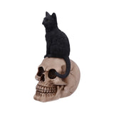 Familiar Fate Black Cat & Skull Figurine