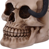 Familiar Fate Black Cat & Skull Figurine