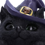 Familiar Grin Witch Cat - Light Up Eyes