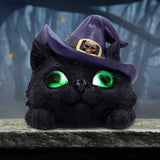 Familiar Grin Witch Cat - Light Up Eyes