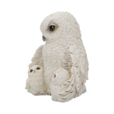 Feathered Family Snowy Owls