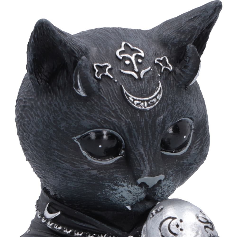 Close-up of Feligor Cult Cuties cat face and occult markings