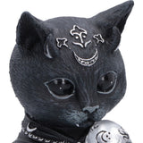 Close-up of Feligor Cult Cuties cat face and occult markings