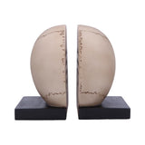 Final Chapter Skull Bookends