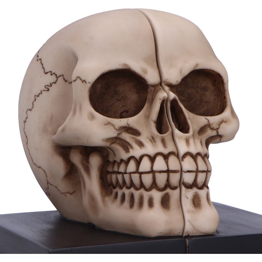 Final Chapter Skull Bookends
