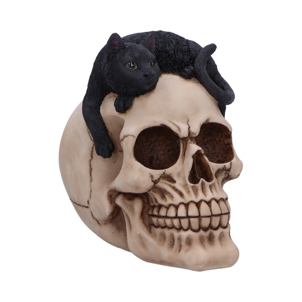 Forever Friend Black Cat Skull
