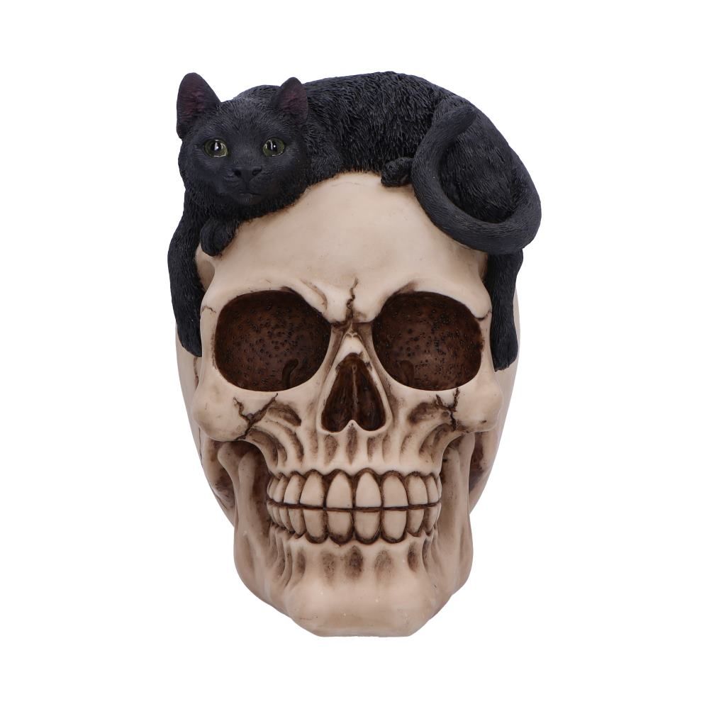 Forever Friend Black Cat Skull