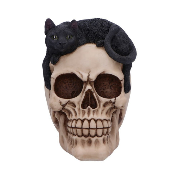 Forever Friend Black Cat Skull