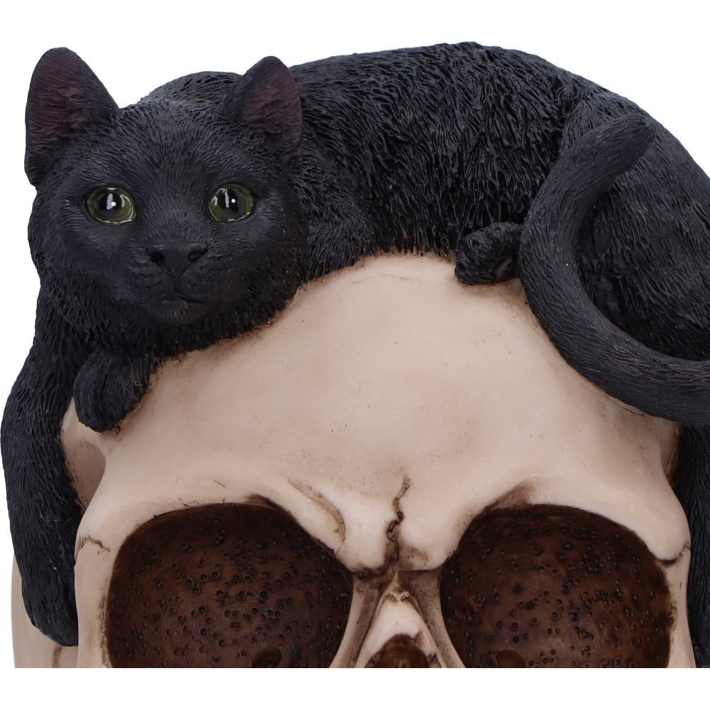 Forever Friend Black Cat Skull