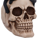 Forever Friend Black Cat Skull