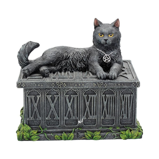 Fortune's Watcher cat tarot card box with black cat design