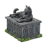 Fortune's Watcher Cat Tarot Box