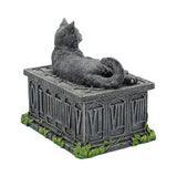 Fortune's Watcher Cat Tarot Box