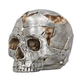 Fracture Skull Ornament