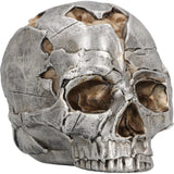 Fracture Skull Ornament