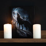 From Darkness - Wolf Canvas Picture
