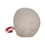 Frostbite Candy Cane LED Skull