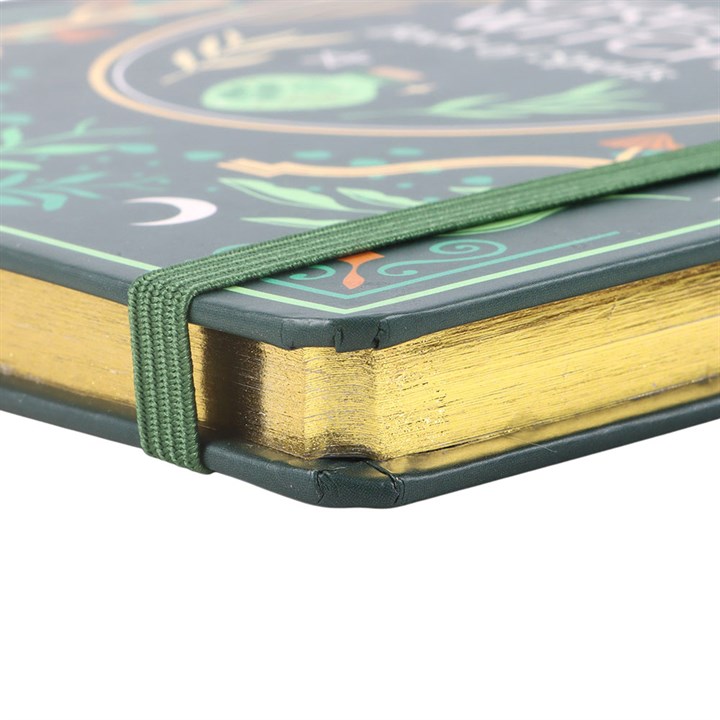 Green Witch notebook gold edged pages and elastic closure