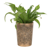 Green Man Bronze Terracotta Plant Pot