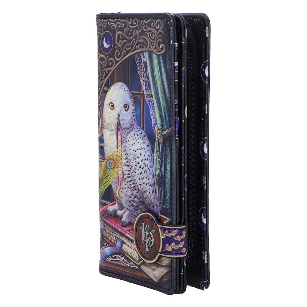 Guardian of Spells Owl Purse by Lisa Parker