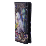 Guardian of Spells Owl Purse by Lisa Parker