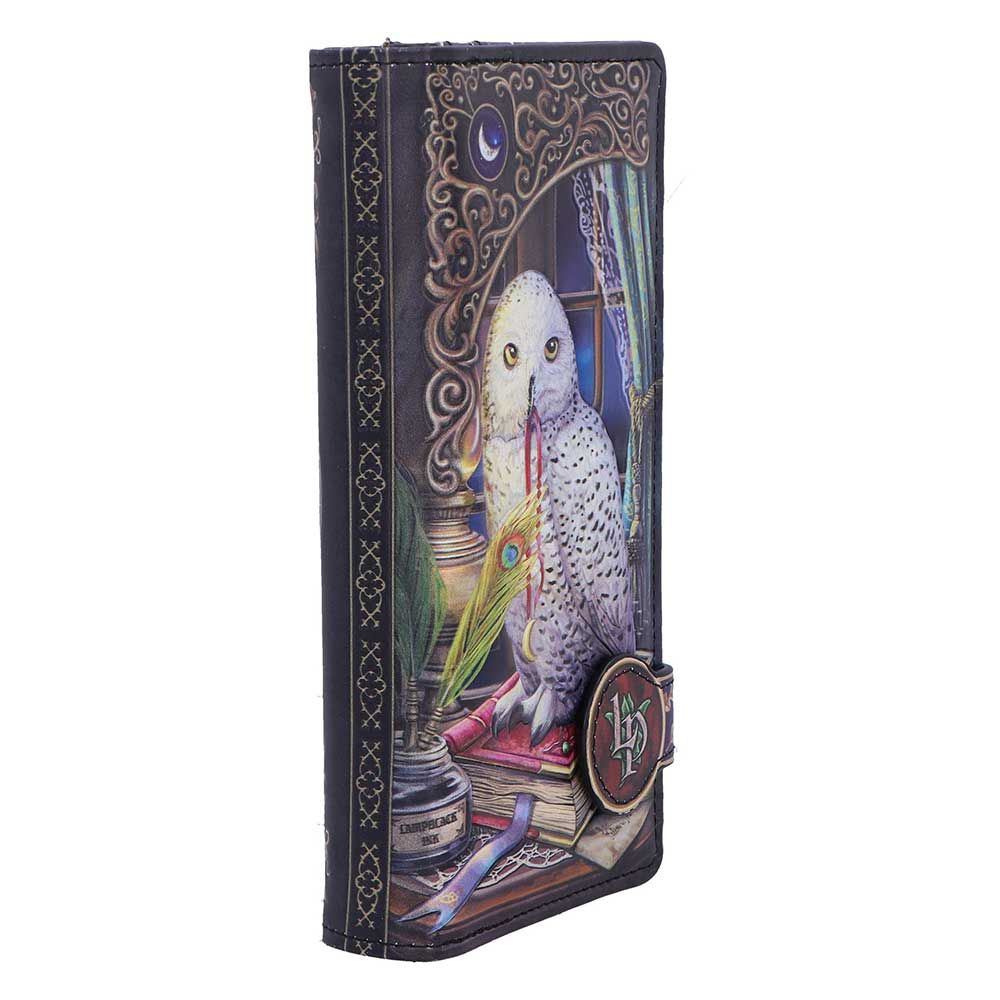 Guardian of Spells Owl Purse by Lisa Parker