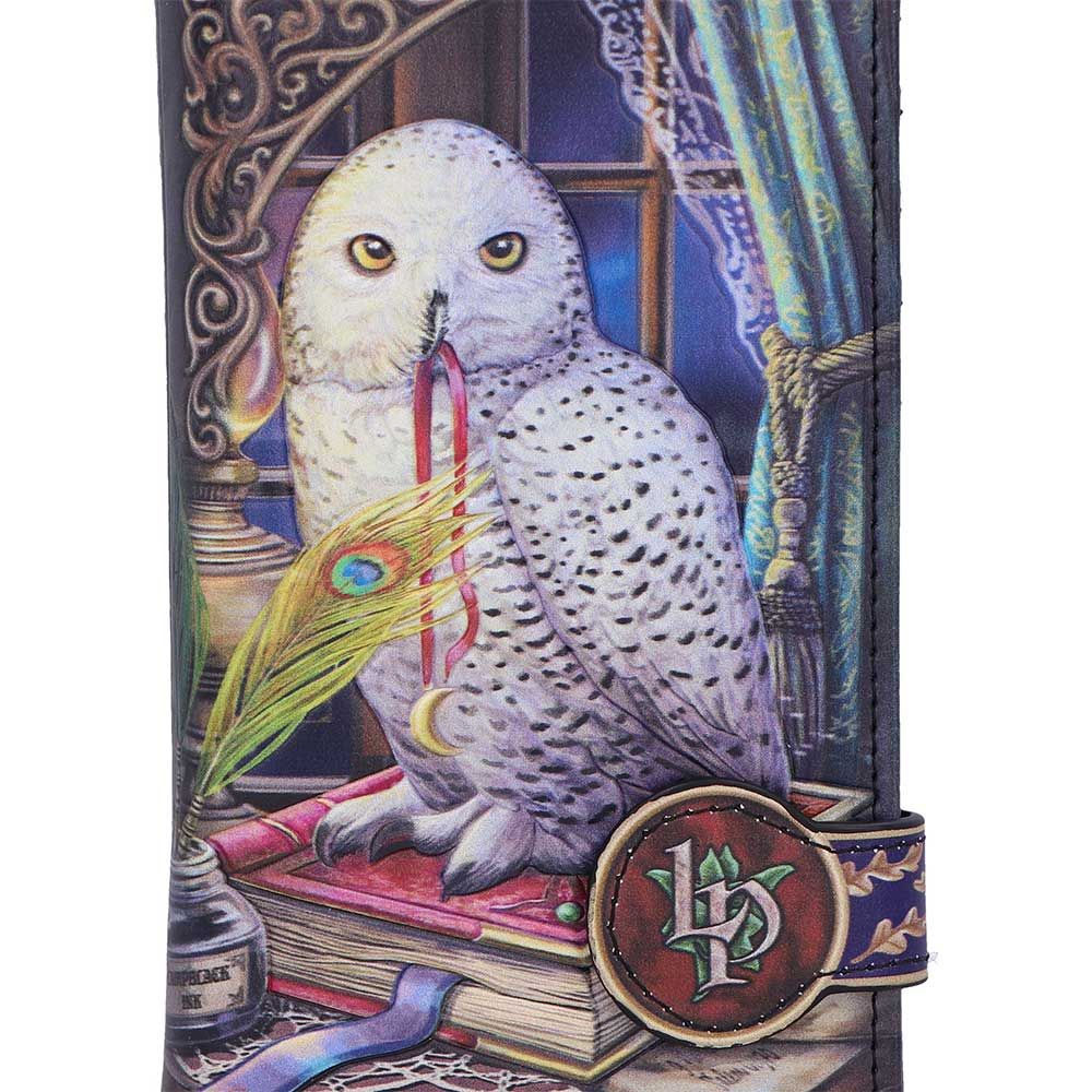 Guardian of Spells Owl Purse by Lisa Parker