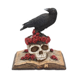 Heartaches Reflection Raven & Skull Figurine