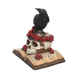Heartaches Reflection Raven & Skull Figurine