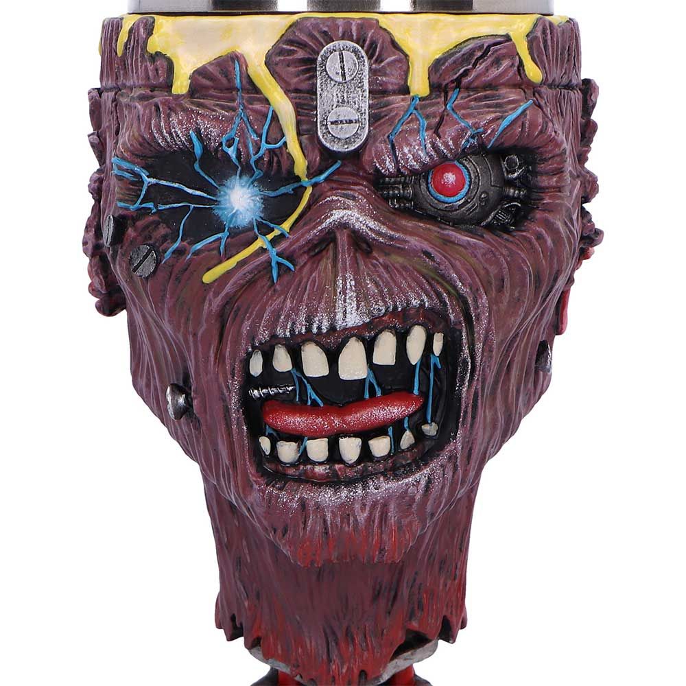 Iron Maiden Can I Play With Madness Goblet