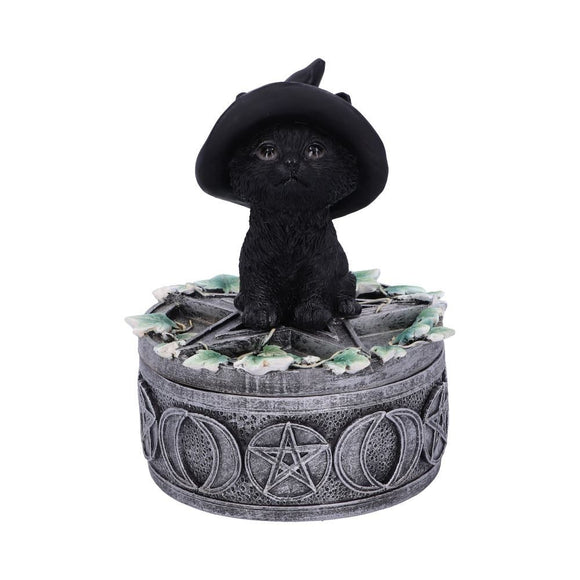 Ivy Black Cat Familiar Box
