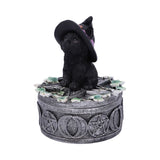 Ivy Black Cat Familiar Box