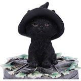 Ivy Black Cat Familiar Box