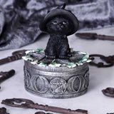 Ivy Black Cat Familiar Box
