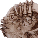 James Ryman Breaking Out Skull