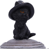 Kitty's Brew - Witch Cat Cauldron Box