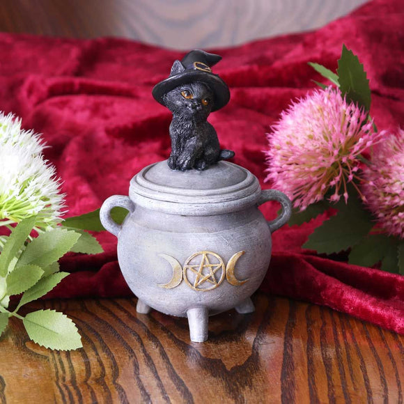 Kitty's Brew - Witch Cat Cauldron Box